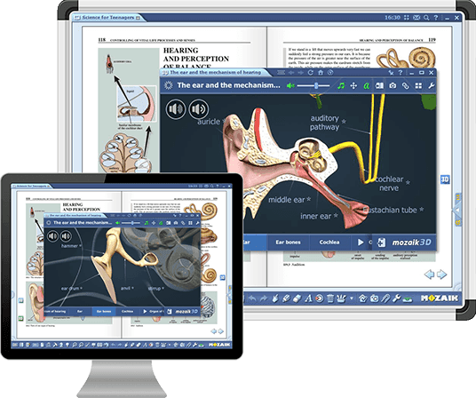 Mozabook Classroom - licencja 1 rok -