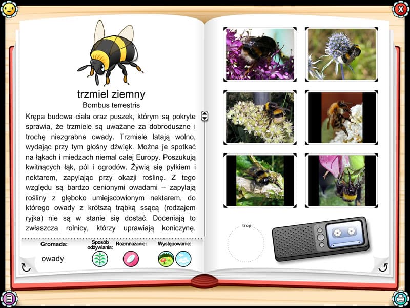 Mądrala na wsi 5 Mądrala na wsi -