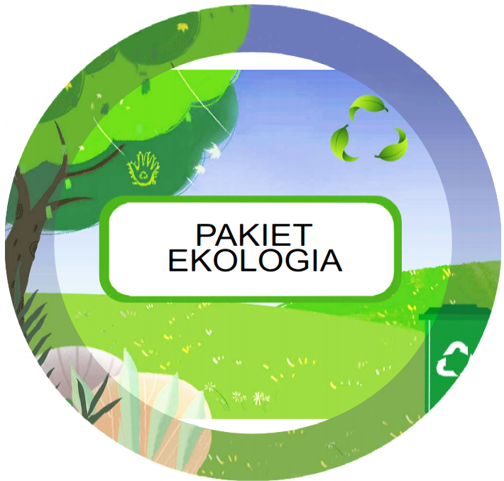 Gabinet terapeutyczno rewalidacyjny - EKSPERT - Z63 -